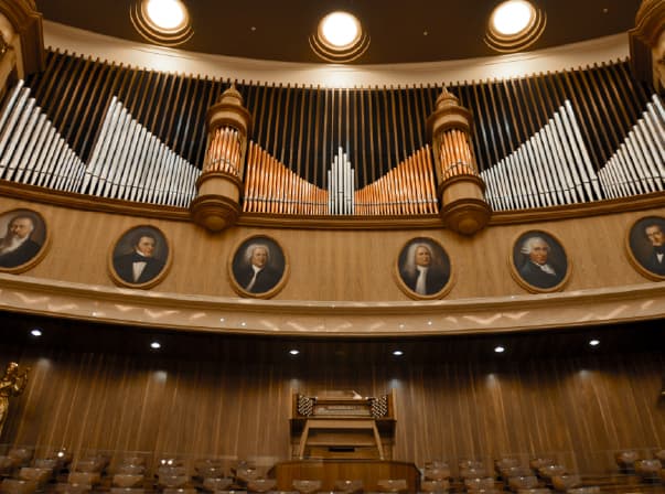 Organ